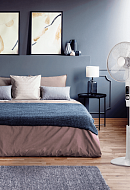 Вентилятор напольный Electrolux EFF-1000i 