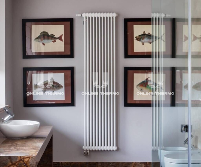 Стальной трубчатый радиатор Zehnder Charleston Completto 2200/10 V001 RAL 9016 1/2", нижний, белый, без крепления 