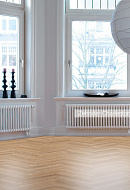 Стальной трубчатый радиатор Zehnder Charleston Completto 3050/20 V001 RAL 9016 1/2", нижний, белый, без крепления 