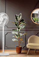 Вентилятор напольный Electrolux EFF-1005 